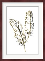Gilded Barn Owl Feather Fine Art Print