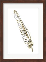 Gilded Swan Feather I Fine Art Print