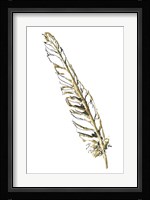 Gilded Swan Feather I Fine Art Print