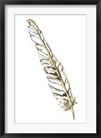 Gilded Swan Feather I Framed Print