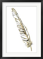 Gilded Swan Feather I Framed Print