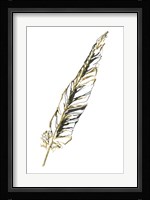 Gilded Swan Feather II Fine Art Print