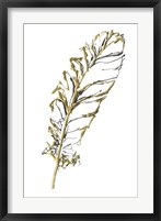 Gilded Turkey Feather I Framed Print