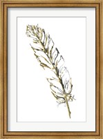 Gilded Turkey Feather II Fine Art Print