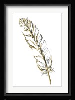 Gilded Turkey Feather II Fine Art Print