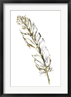 Gilded Turkey Feather II Framed Print