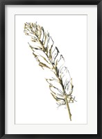 Gilded Turkey Feather II Framed Print