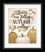 Grateful Season II Framed Print