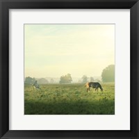 Farm Morning I Square Fine Art Print