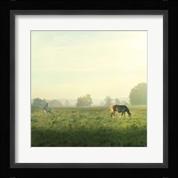 Farm Morning I Square Framed Print