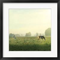 Farm Morning I Square Framed Print