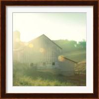 Farm Morning II Square Fine Art Print
