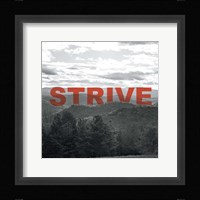 Bold Adventures VI Fine Art Print