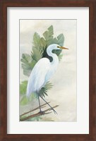 Standing Egret I Fine Art Print