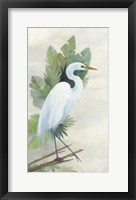 Standing Egret I Fine Art Print
