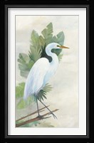 Standing Egret I Framed Print