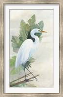 Standing Egret I Fine Art Print