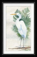 Standing Egret II Framed Print