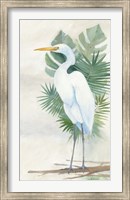 Standing Egret II Fine Art Print