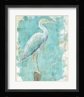Coastal Egret I Framed Print
