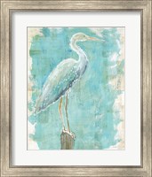 Coastal Egret I Fine Art Print