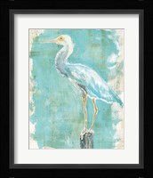 Coastal Egret II Framed Print
