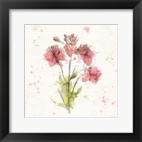 Floral Splash V Fine Art Print
