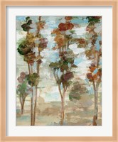 Serene Forest III Fine Art Print