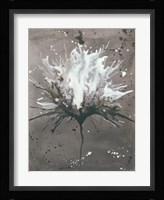 Splash of Flowers I Framed Print