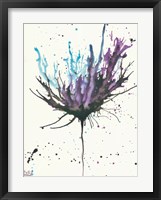 Splash of Flowers II Framed Print