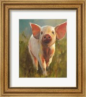Morning Pig Fine Art Print