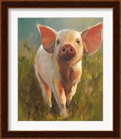 Morning Pig Fine Art Print