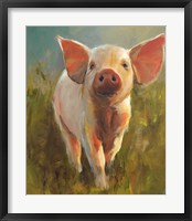 Morning Pig Fine Art Print