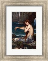 A Mermaid Fine Art Print