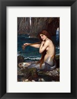 A Mermaid Fine Art Print