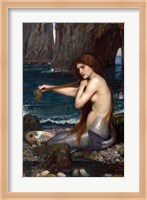 A Mermaid Fine Art Print
