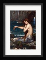 A Mermaid Fine Art Print