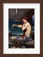 A Mermaid Fine Art Print