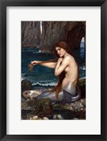 A Mermaid Framed Print