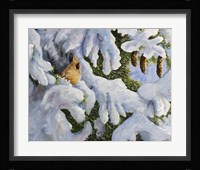 Lady In The Pines Fine Art Print