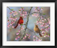 Spring Cardinals Framed Print