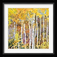 Autumn Birches III Fine Art Print