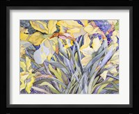 Daffodils, Van Vleck Fine Art Print