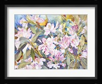 Rhododendrons Fine Art Print