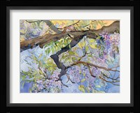 Wisteria, Van Vleck Fine Art Print