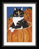 Matisse In A Pumpkin Fine Art Print