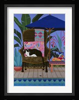 Adios Cucaracha Framed Print