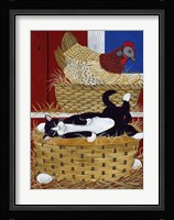 Good Place For A Nap Fine Art Print