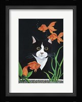 Oscar Mesmerized Framed Print