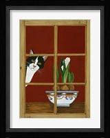 Anticipation Fine Art Print